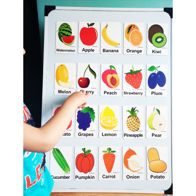 Fruits And Vegetables Magnet